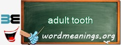 WordMeaning blackboard for adult tooth